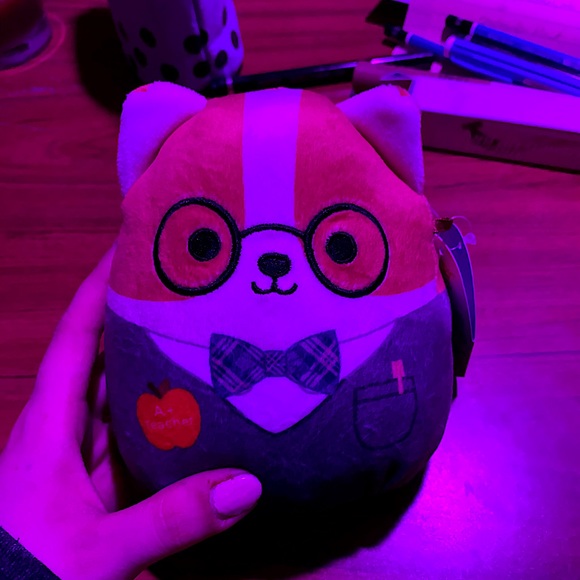 BNWT Teacher Reginald Squishmallow - Picture 1 of 3